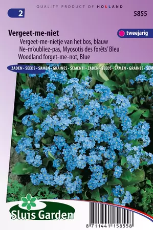 Myosotis sylvatica indigo blauw