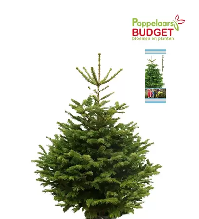 Natureline Nordmann 120-150 - afbeelding 1
