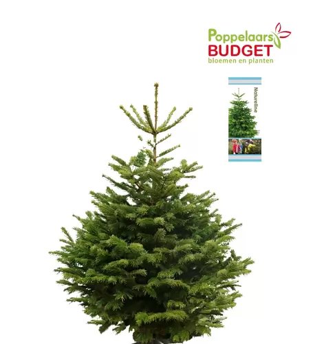 Natureline Nordmann 120-150 - afbeelding 1