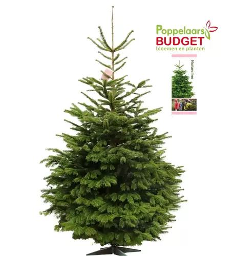 Natureline Nordmann 210-250 - afbeelding 3