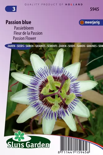 Passiflora coerulea hemelsblauw