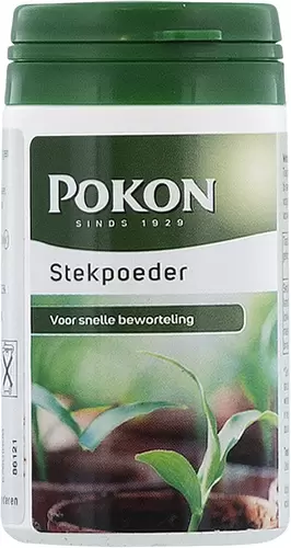 Stekpoeder 25g