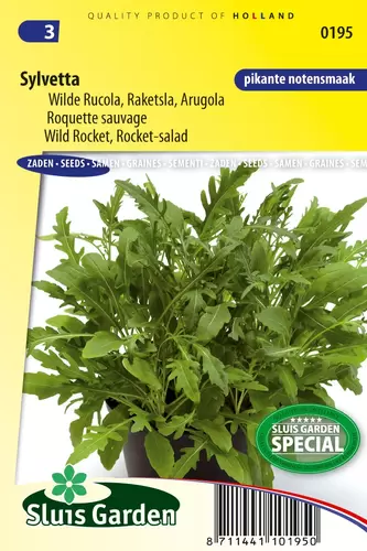 Rucola wilde rucola. sylvetta