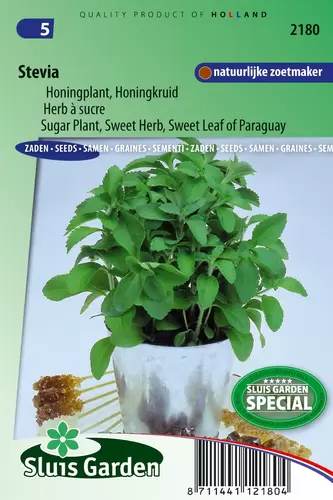 Stevia / honingplant stevia rebaud.