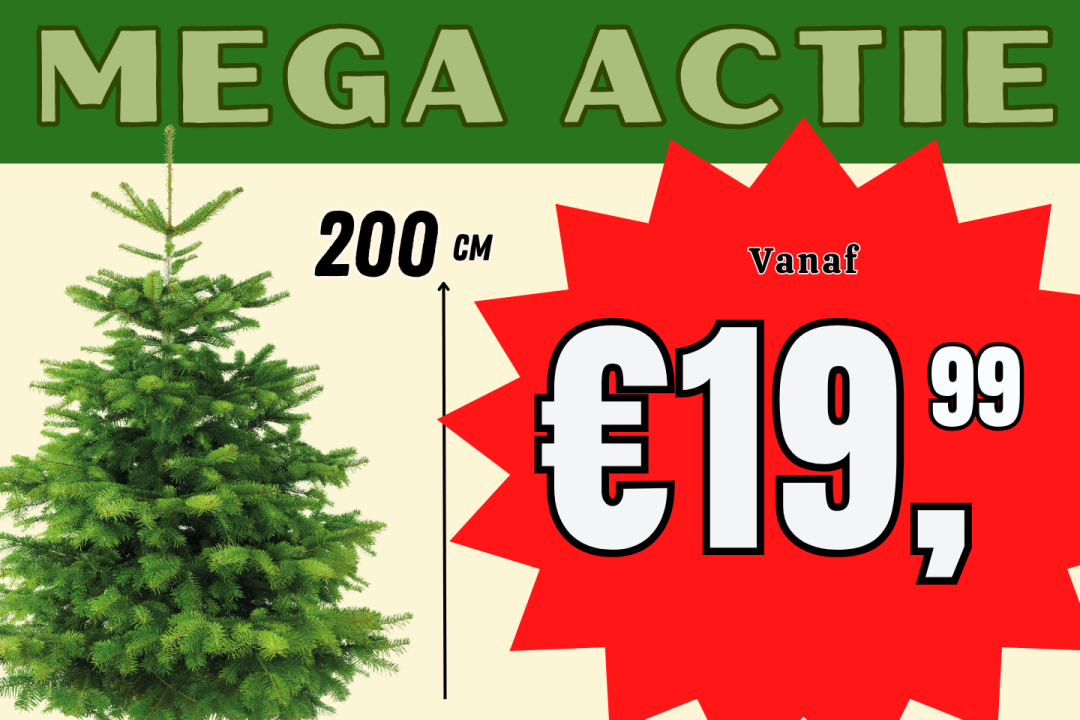 Mega-Actie - Kerstboomen